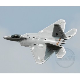 Freewing F-22 Raptor 70mm EDF Jet